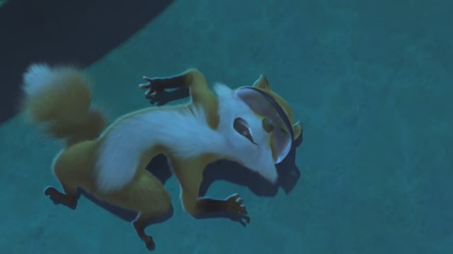 Sevimli Tilki fotoğrafı