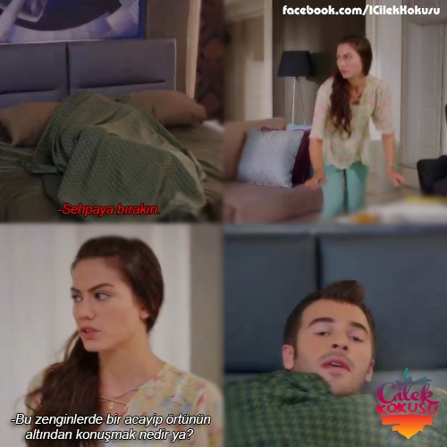 Çilek Kokusu Fotoğrafı