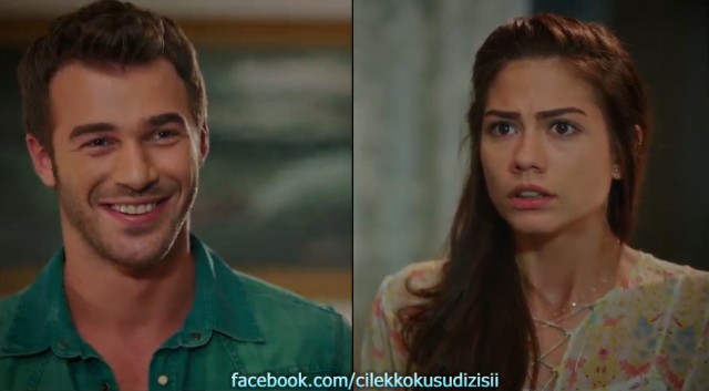 Çilek Kokusu Fotoğrafı