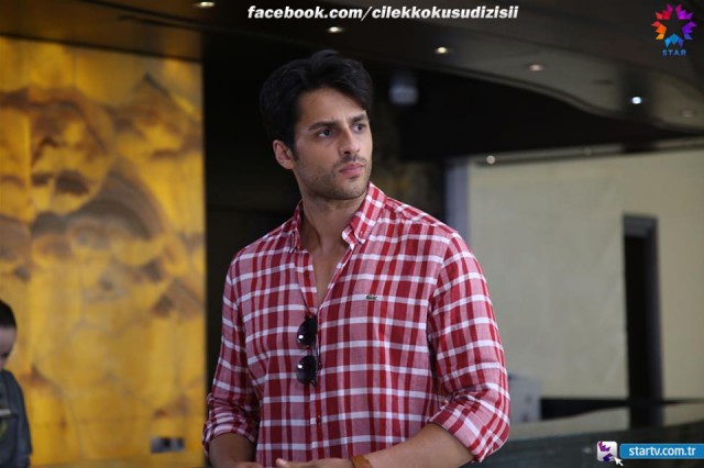 Çilek Kokusu Fotoğrafı