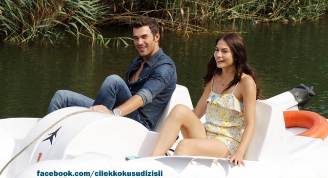 Çilek Kokusu Fotoğrafı