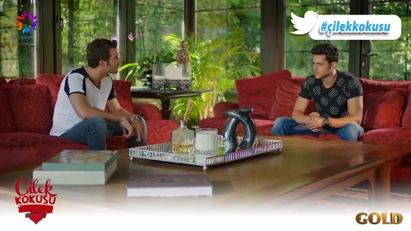 Çilek Kokusu Fotoğrafı