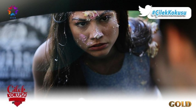 Çilek Kokusu Fotoğrafı