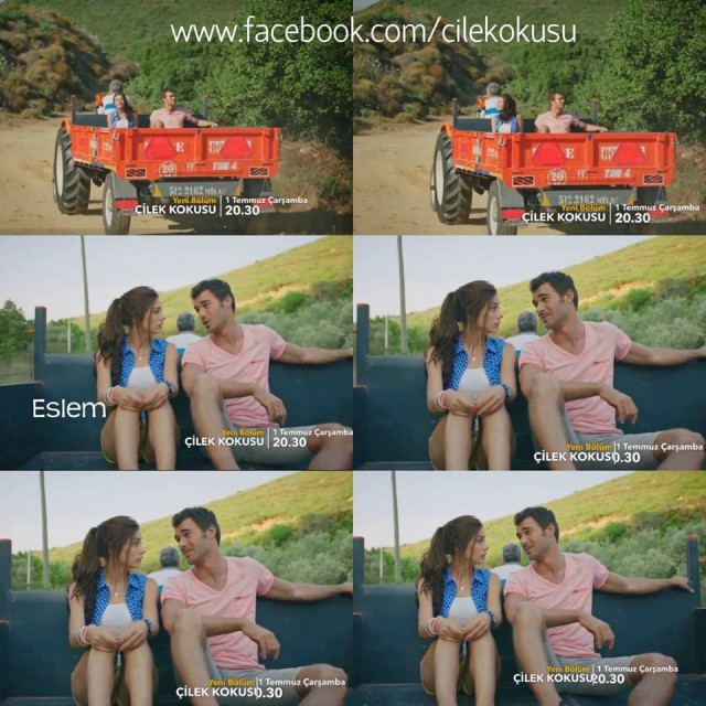 Çilek Kokusu Fotoğrafı