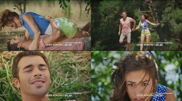 Çilek Kokusu Fotoğrafı