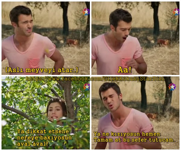 Çilek Kokusu Fotoğrafı