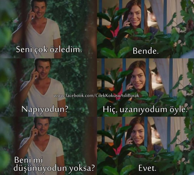 Çilek Kokusu Fotoğrafı