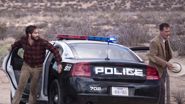 Gece Hayvanları Fotoğrafı