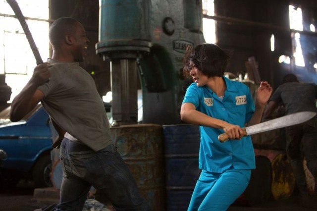 Sense8 Fotoğrafı
