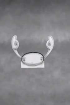 İçine Kaçan Kız (2012) afişi