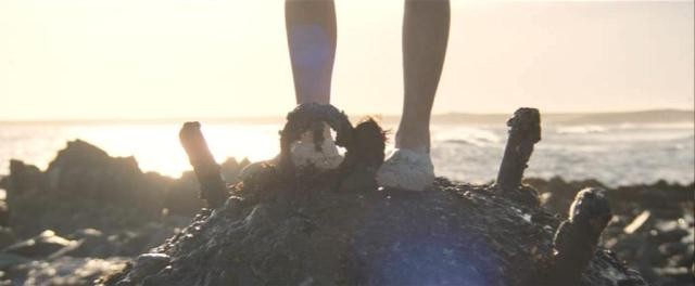 Bir Aptalın Anıları Fotoğrafı