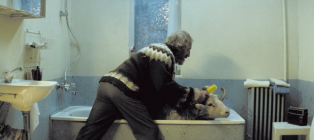 İnatçılar Fotoğrafı