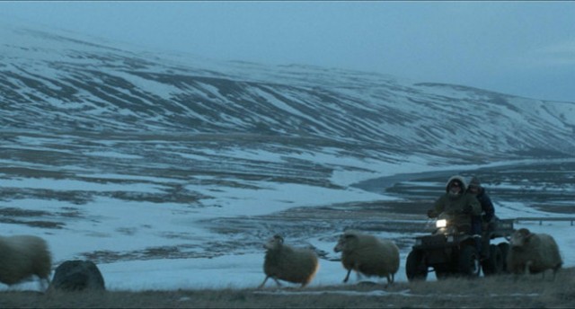 İnatçılar fotoğrafı