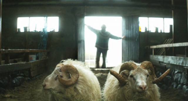 İnatçılar fotoğrafı