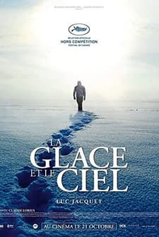 Buz ve Gökyüzü (2015) afişi