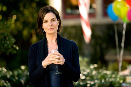 The Stepfather fotoğrafı