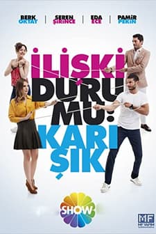 İlişki Durumu Karışık (2015) afişi