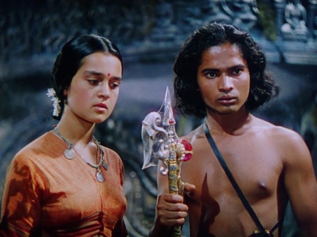 Ormanın Kitabı Fotoğrafı