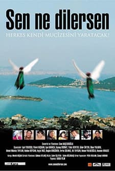 Sen Ne Dilersen (2005) afişi