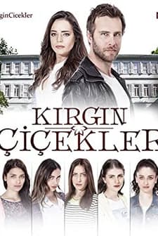 Kırgın Çiçekler (2015) afişi