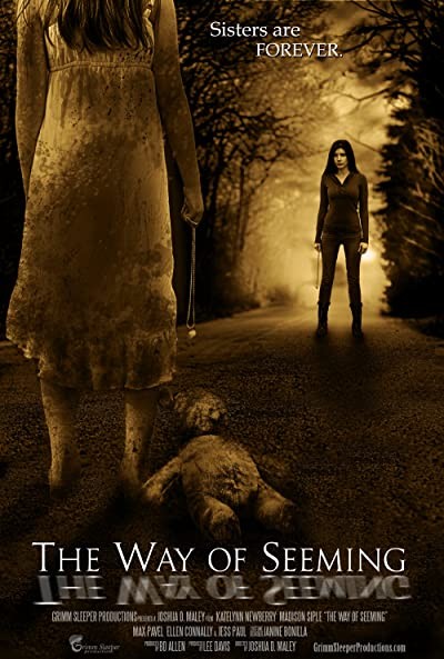 The Way of Seeming (2016) afişi