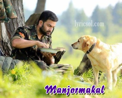 Picket 43 Fotoğrafı