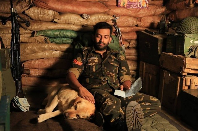 Picket 43 Fotoğrafı