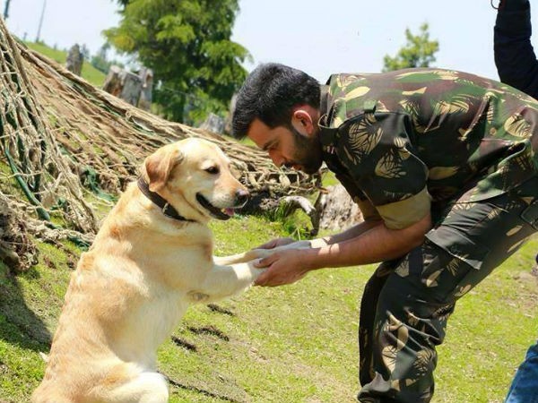 Picket 43 Fotoğrafı