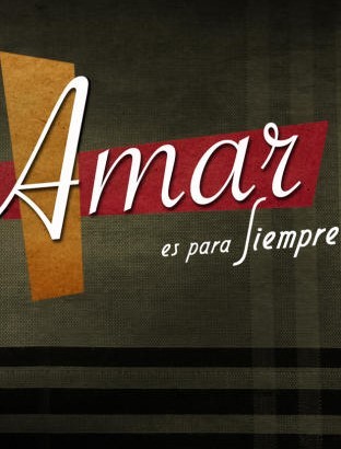 Amar en tiempos revueltos (2013) afişi