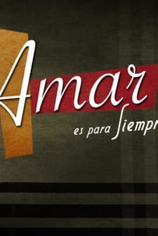 Amar en tiempos revueltos (2013) afişi