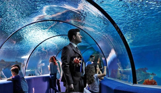 Git Başımdan Fotoğrafı