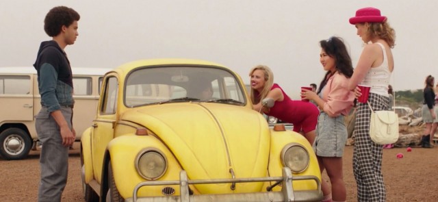 Bumblebee fotoğrafı