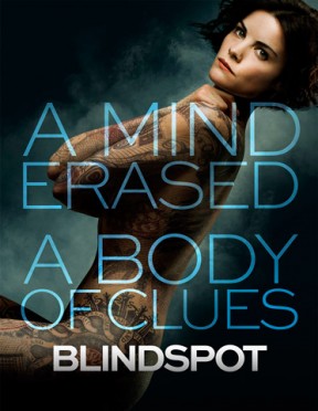 Blindspot (2015) afişi