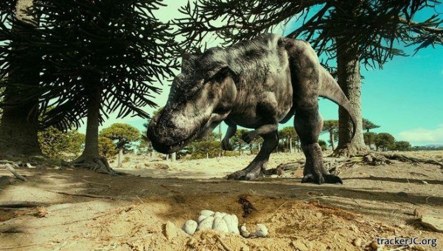 Dinozorlar: Patogonya Devleri Fotoğrafı