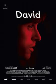 David (2015) afişi