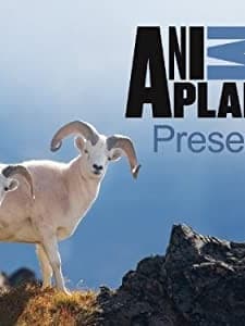 Animal Planet Presents (2013) afişi