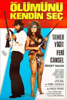 Ay Bu Gece Doğacak (1971) afişi