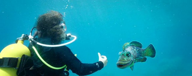 Nadide Hayat Fotoğrafı