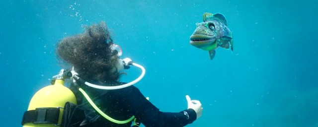 Nadide Hayat Fotoğrafı