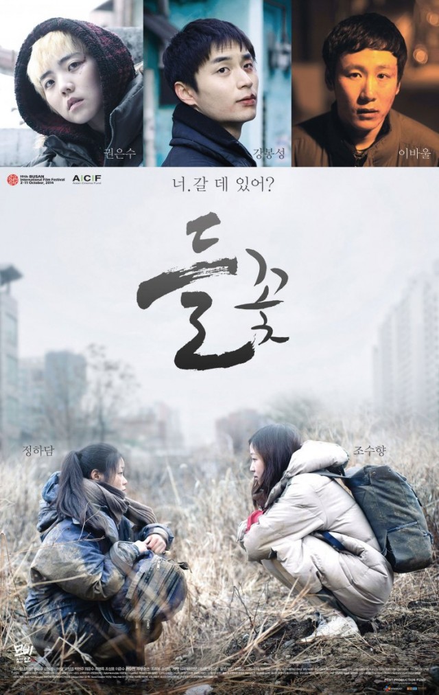 Wild Flowers Fotoğrafı