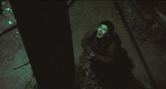 Wild Flowers fotoğrafı