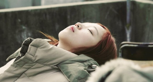 Wild Flowers fotoğrafı