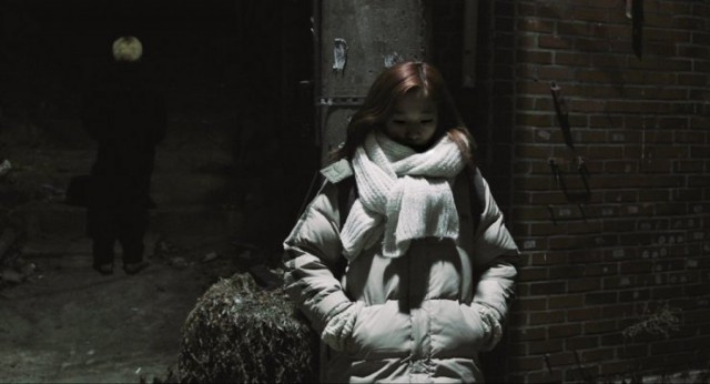 Wild Flowers fotoğrafı