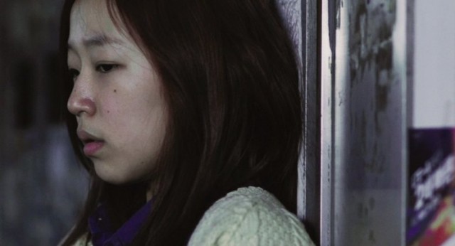 Wild Flowers Fotoğrafı