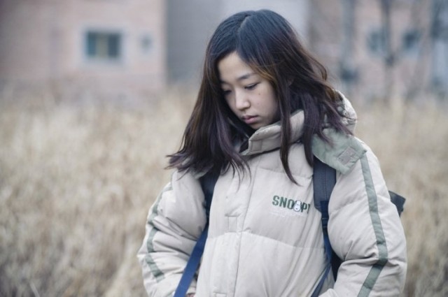 Wild Flowers Fotoğrafı