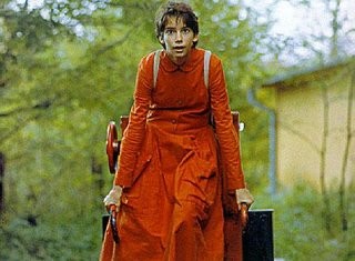 Orbis Pictus fotoğrafı