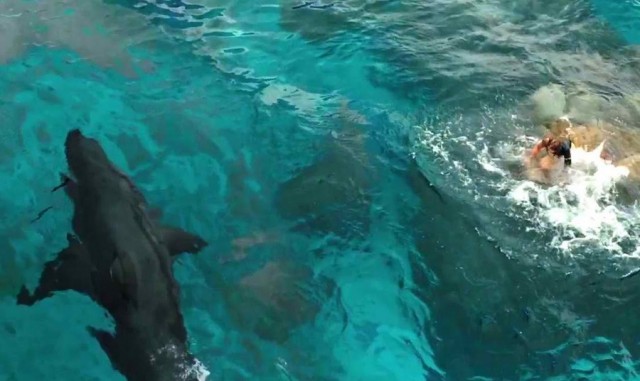 Karanlık Sular Fotoğrafı