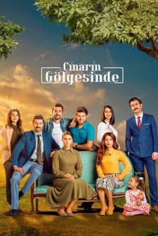 Çınarın Gölgesinde (2015) afişi