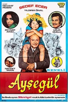 Ayşegül (1971) afişi