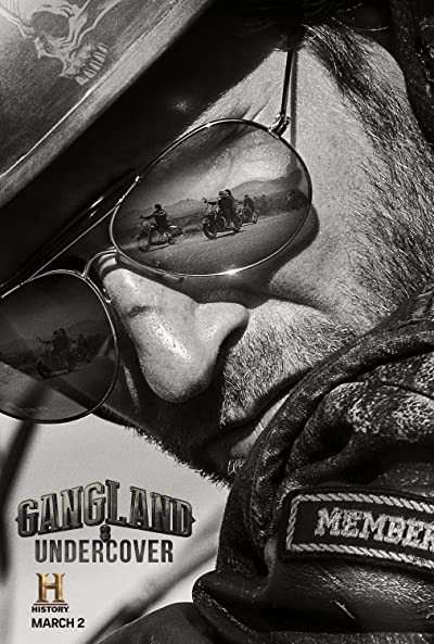 Gangland Undercover (2015) afişi